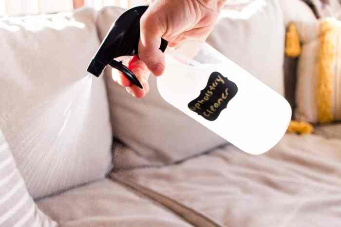 Upholstery cleaner